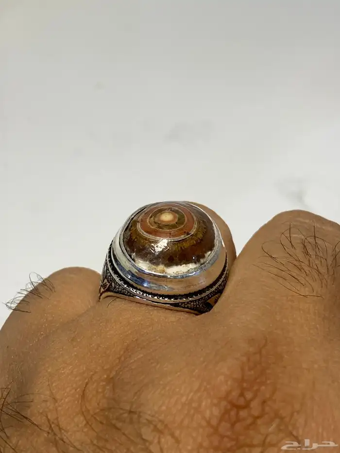 خاتم داودي يماني عين الذئب صياغة الوليف 6