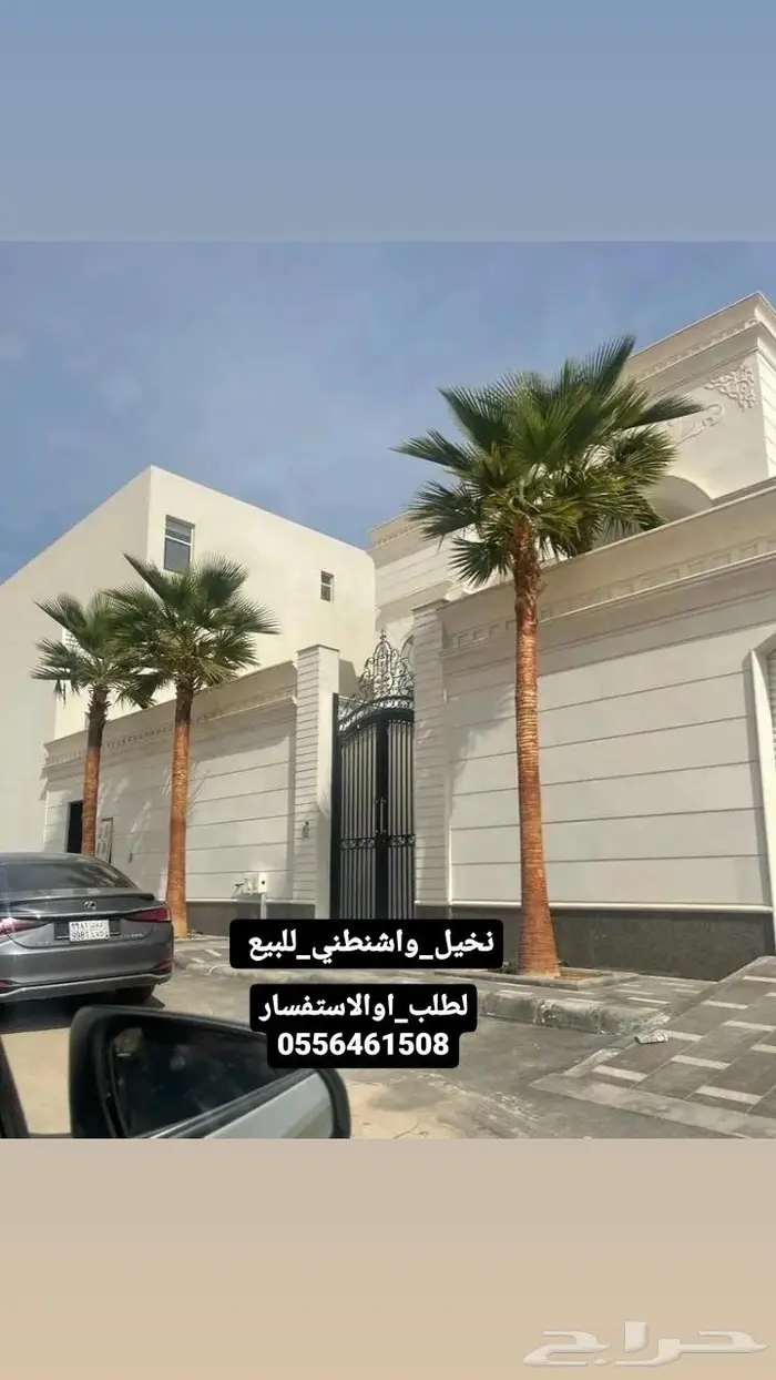 واشنطني توريد وتوصيل جميع المقاسات 0