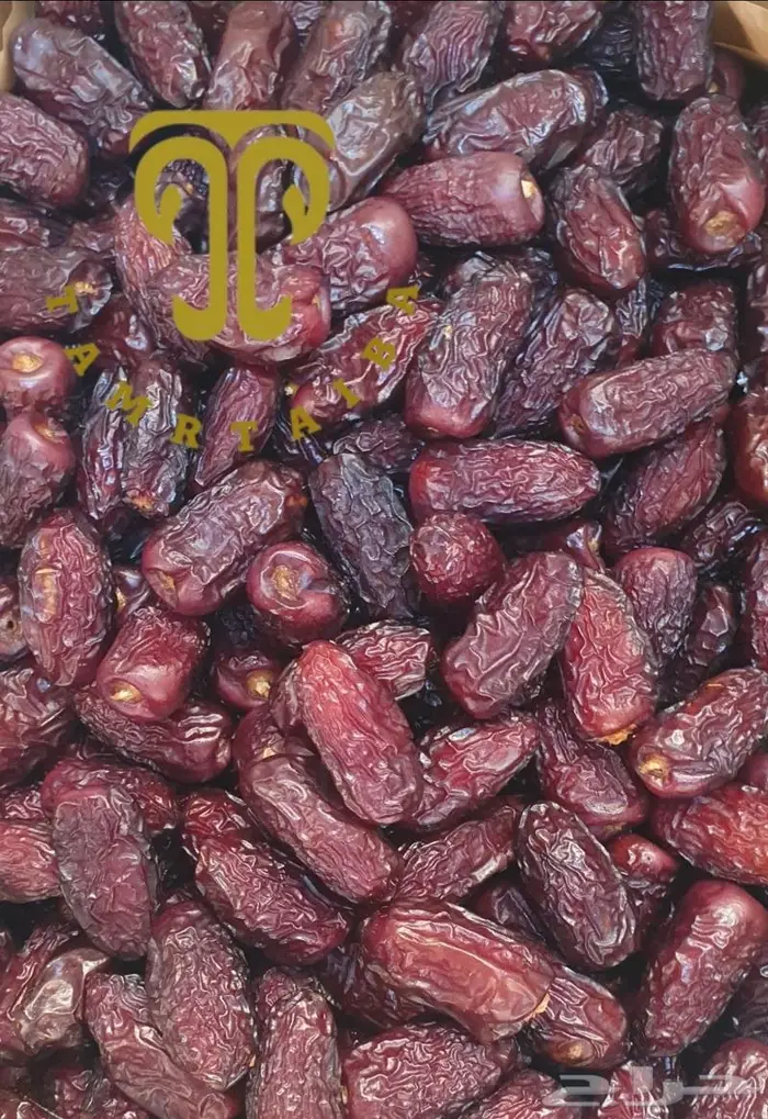 تمور المدينة الفاخرة من أرض طيبة إلى جميع أنحاء المملكة 4