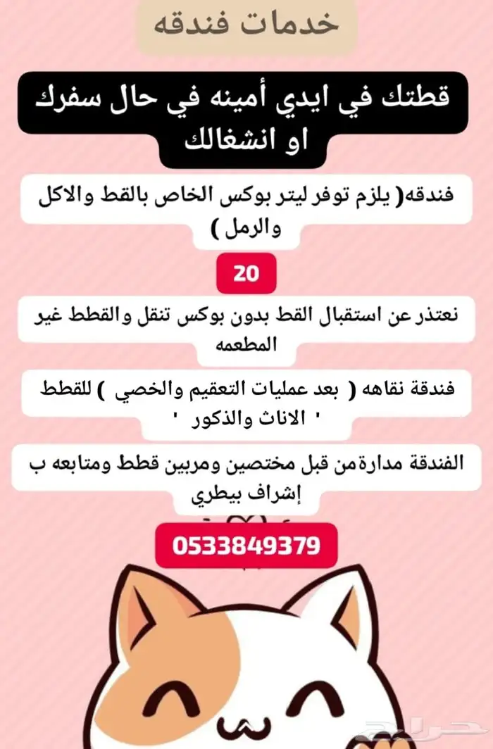 فندقه قطط محايل وقرومنق 2