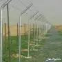 شبوك مزارع شبوك مواقع اصوار 9