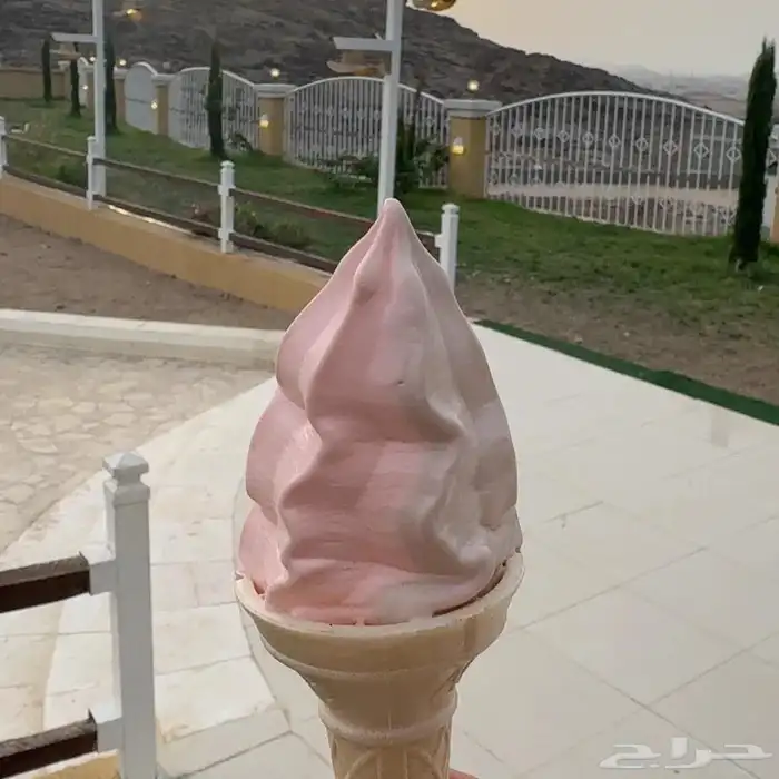 تاجير عربة ايسكريم 4