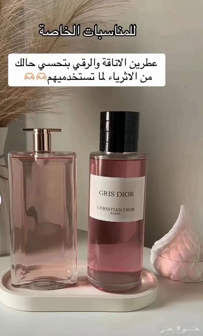 عطورت اصليه سعرنا جمله جمله 13