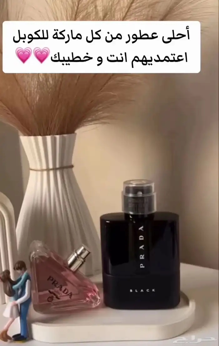 عطورت اصليه سعرنا جمله جمله 4