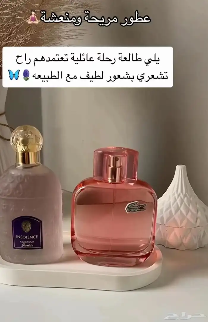 عطورت اصليه سعرنا جمله جمله 11