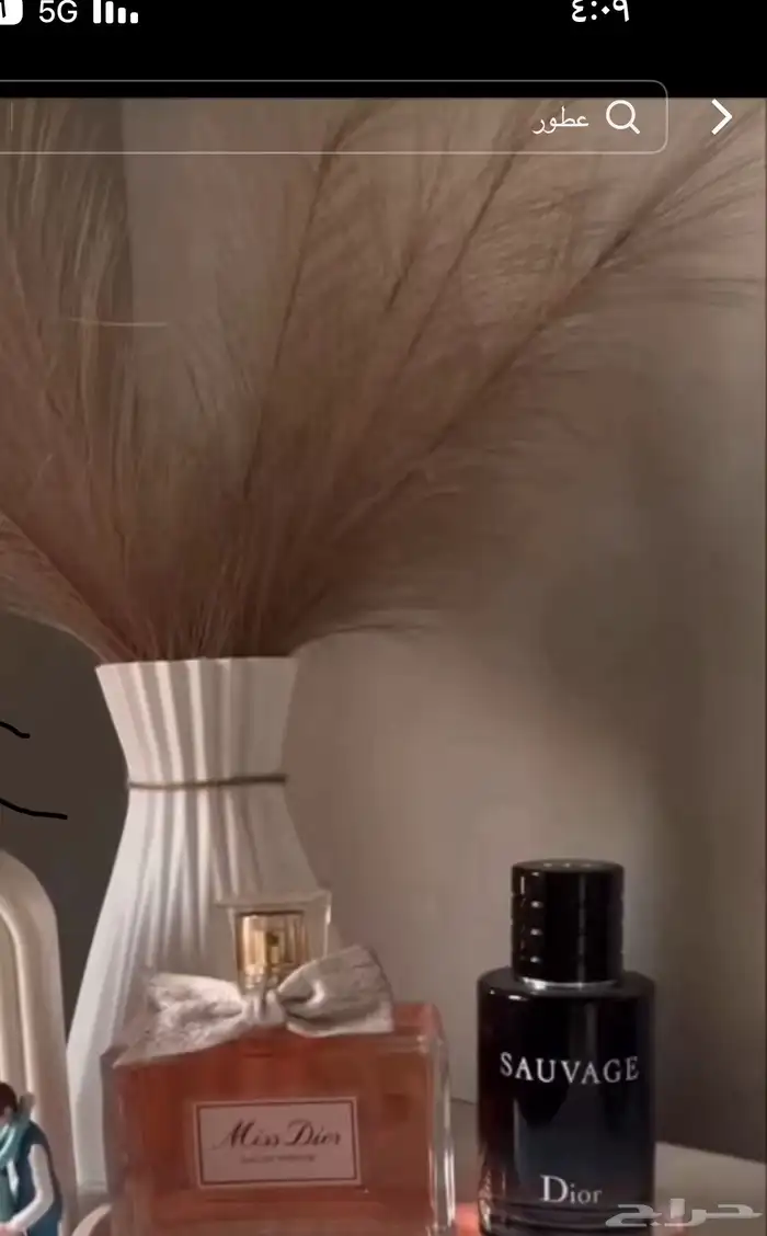 عطورت اصليه سعرنا جمله جمله 0