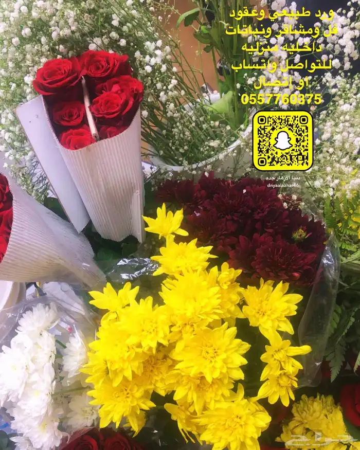 فل عقود للعرسان وورود طبيعيه وشتلات للتواصل اتصال أوواتساب 79