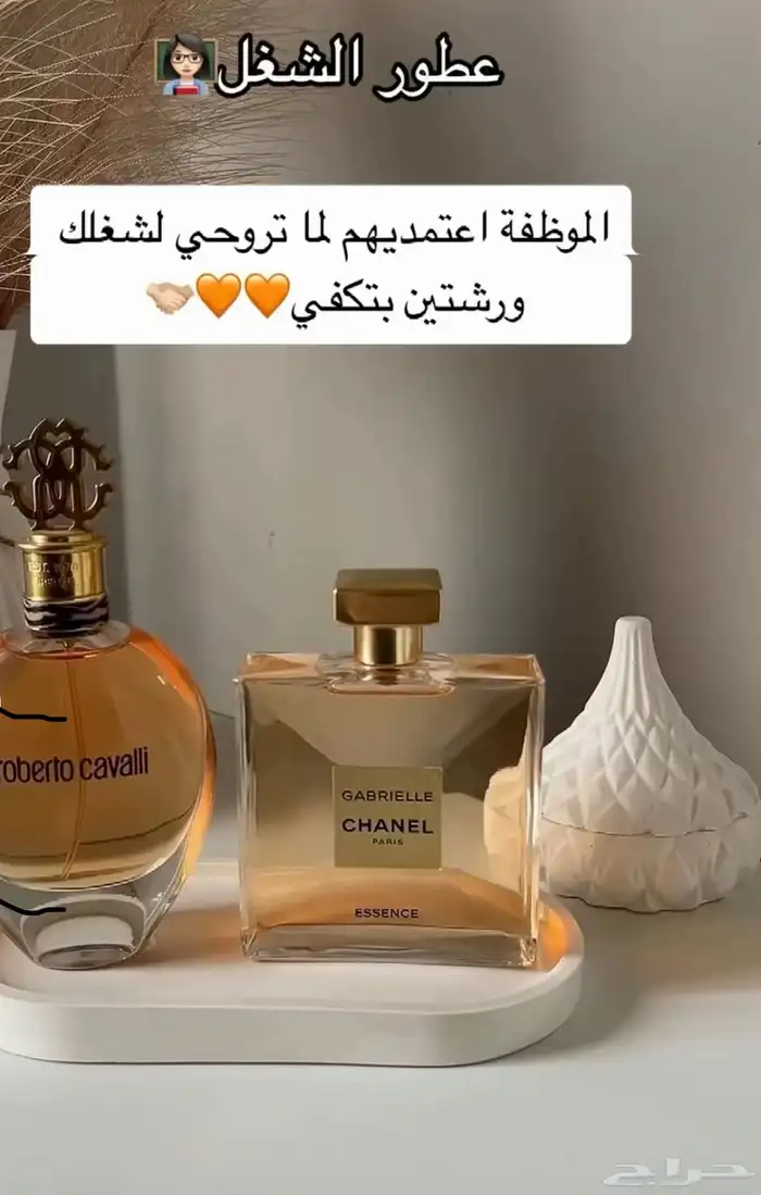 عطورت اصليه سعرنا جمله جمله 10