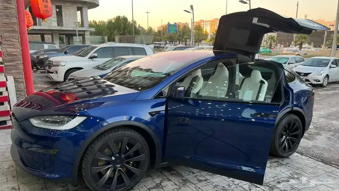 نادرة في السوق Tesla Model X (Longest Range) 7