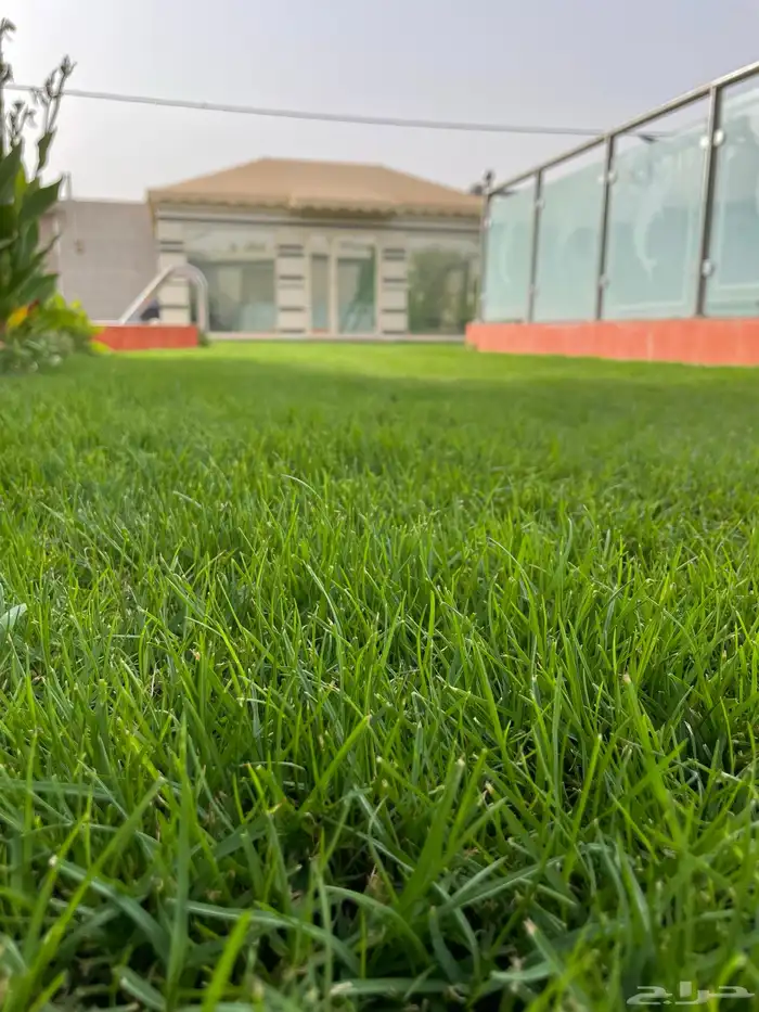شاليه الكوثر بالخرج 5