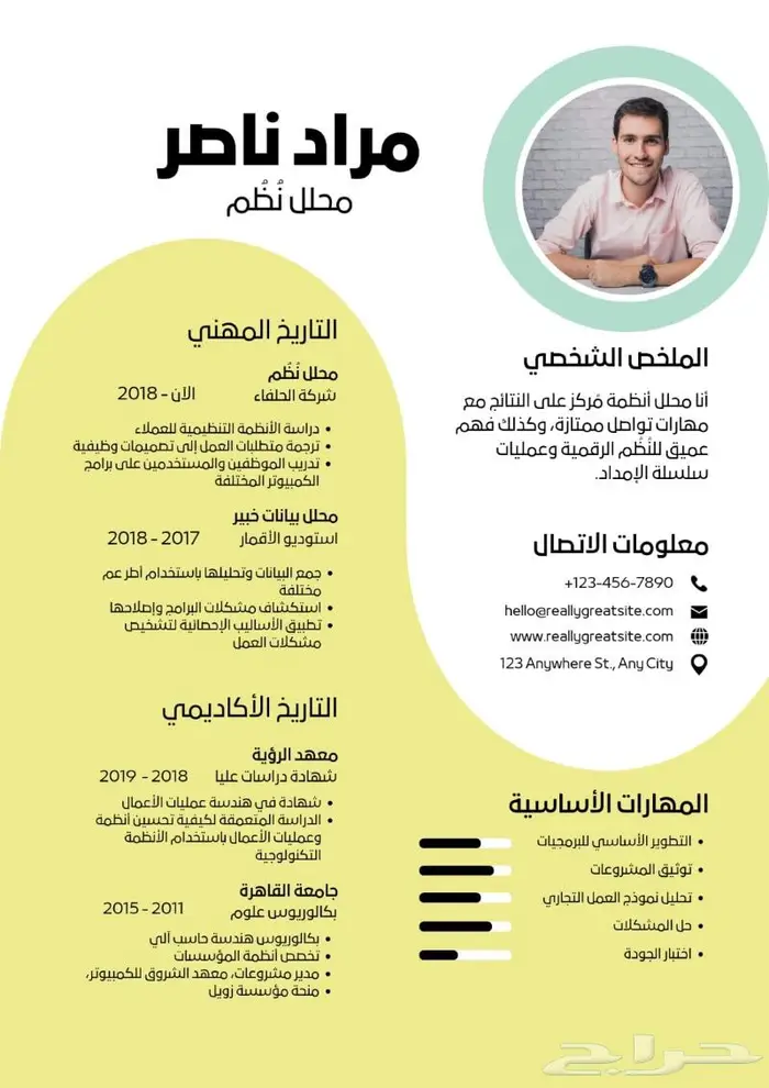 تصميم سيرة ذاتية احترافية ومميزة بأسعار تنافسية 3