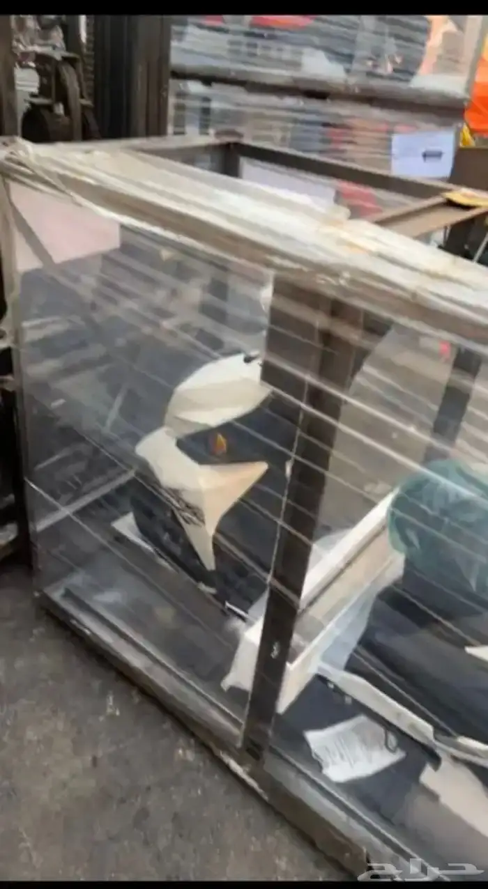 دباب عجيب افنتس 2024 1