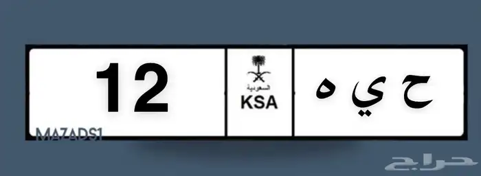 للبيع لوحه مميزة نادرة (ح ي ه -12) 0