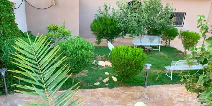 شاليه للإيجار اليومي عرض قسمين 300 12