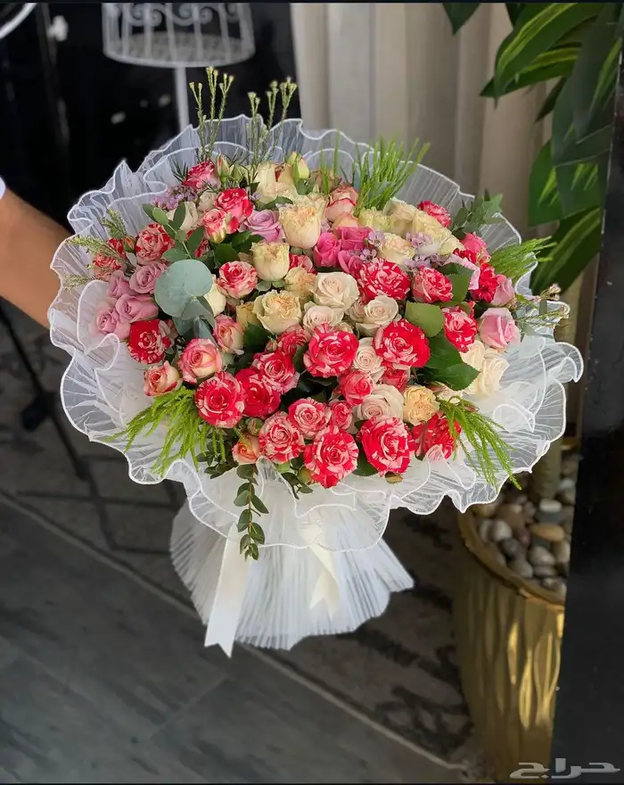 مندوب توصيل 1