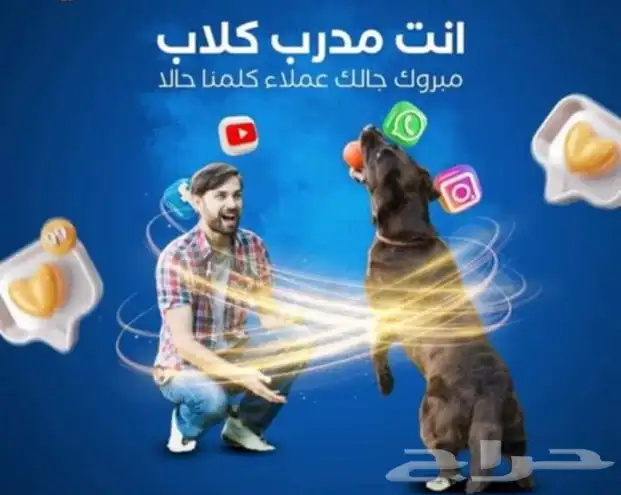 تدريب الكلاب باحترافيه 0