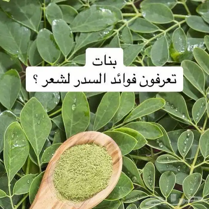 حناء وسدر المدينه المنوره عضوي بدون اي اضافات وزيت القطران 12