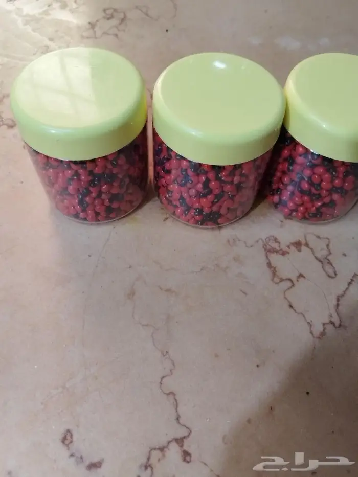 بذور شجر عين عناق (عين العفريت)) 1