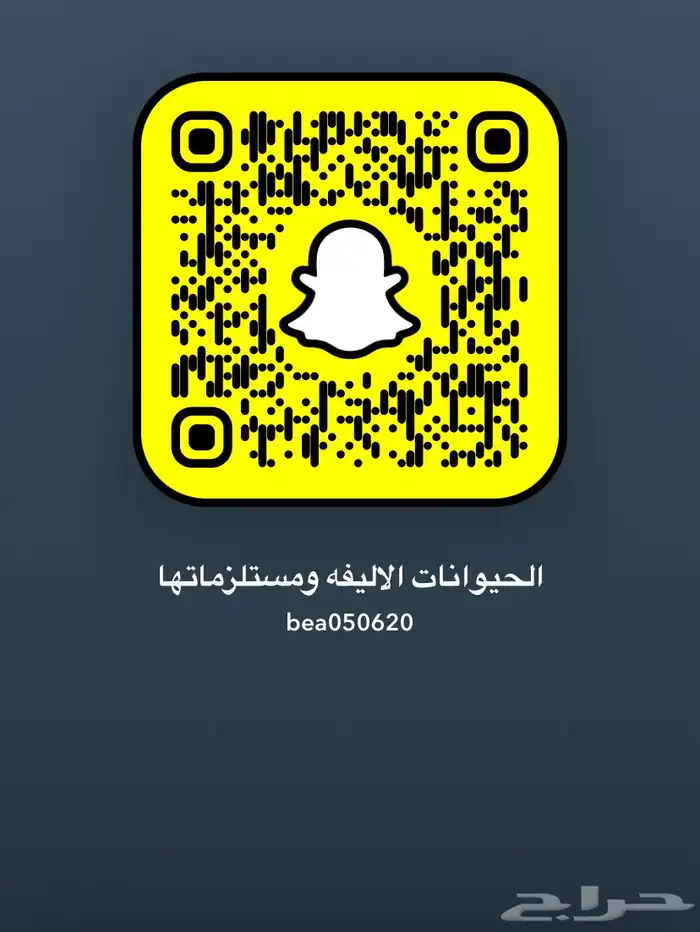 قطط طيوو مستلزمات الحيونات ترويش حلاقه 4