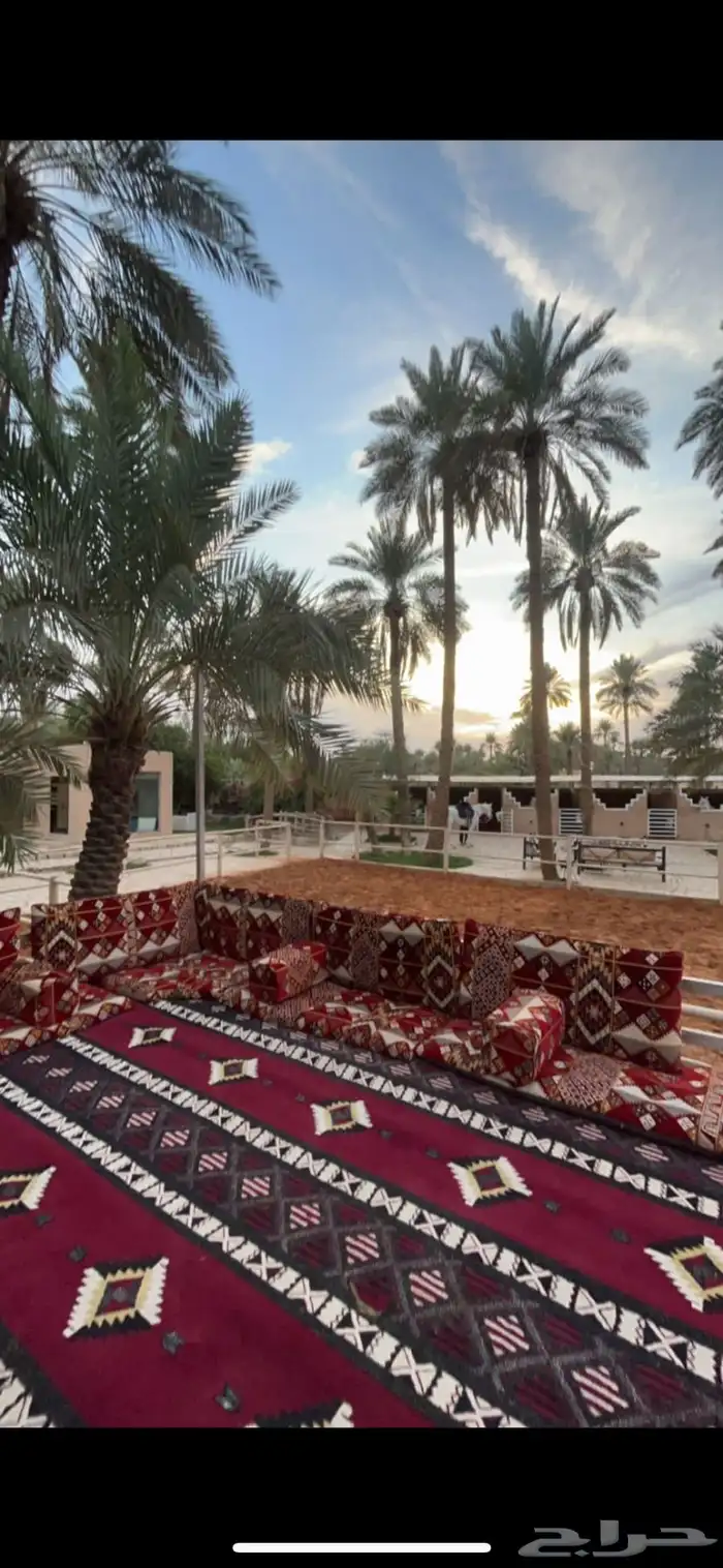 مربط منتجع النخيل يوجد ايوا للخيل وإيجار باليوم أو الساعه 1