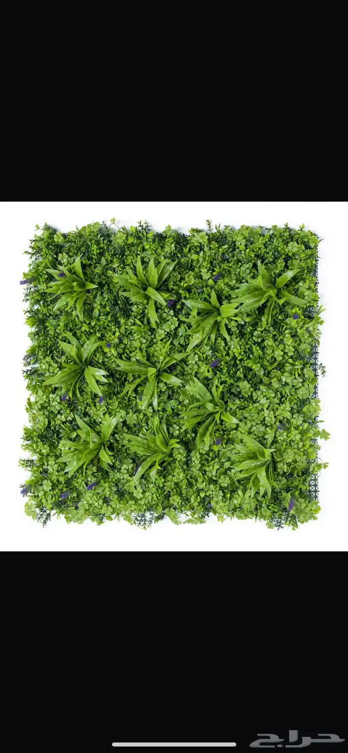 عشب صناعي جدراي أقل سعر في السوق 4