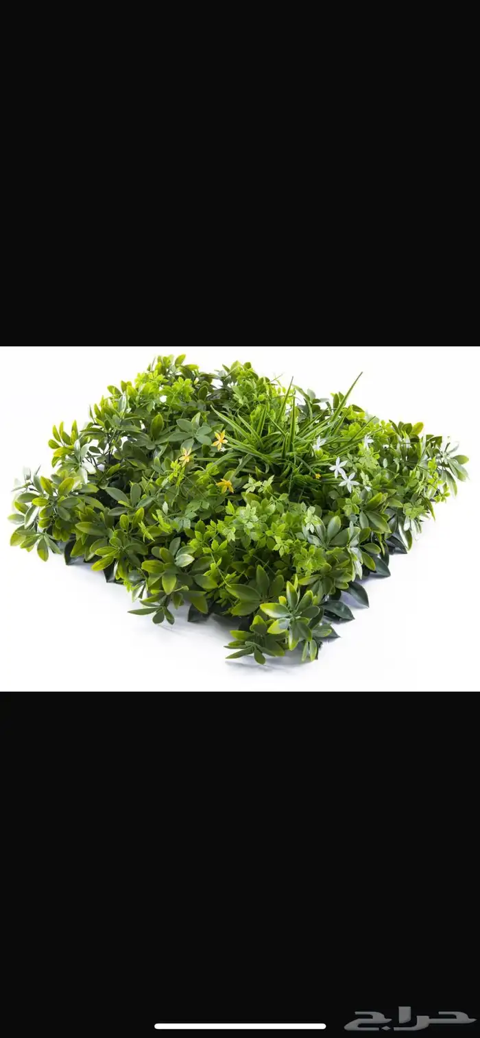 عشب صناعي جدراي أقل سعر في السوق 5