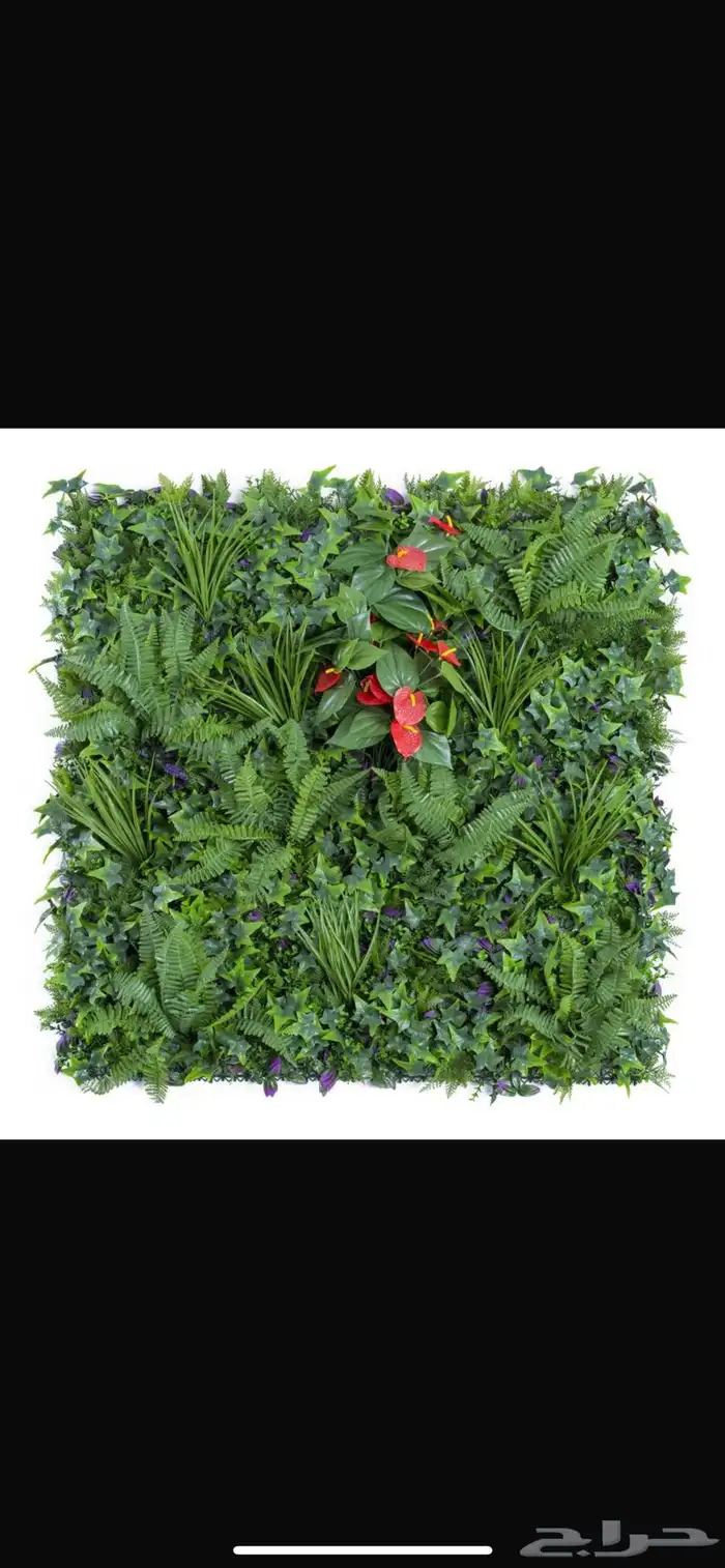 عشب صناعي جدراي أقل سعر في السوق 8