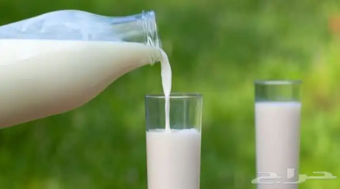 حليب بقر طازج وطبيعي شرط خالي من الإضافات . 0