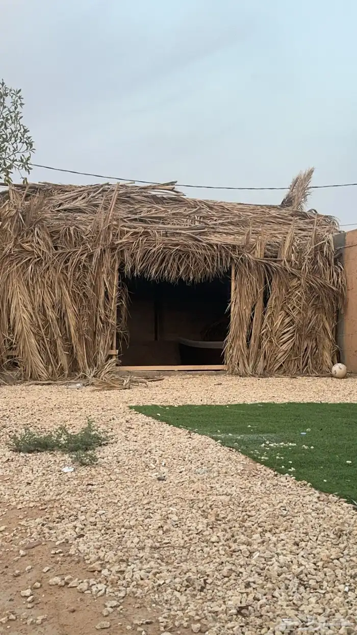 عريشش للبيع 0