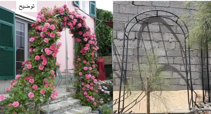 استاند جهنميه - مدخل متسلق 0