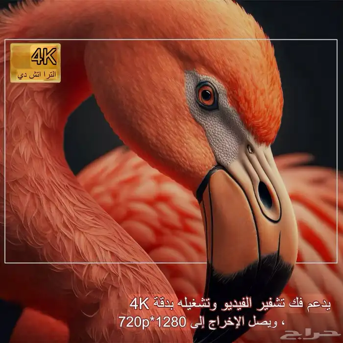برجكتر 4k 4