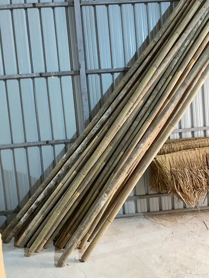 عروض على الخيزران  الموقع بريدة 12