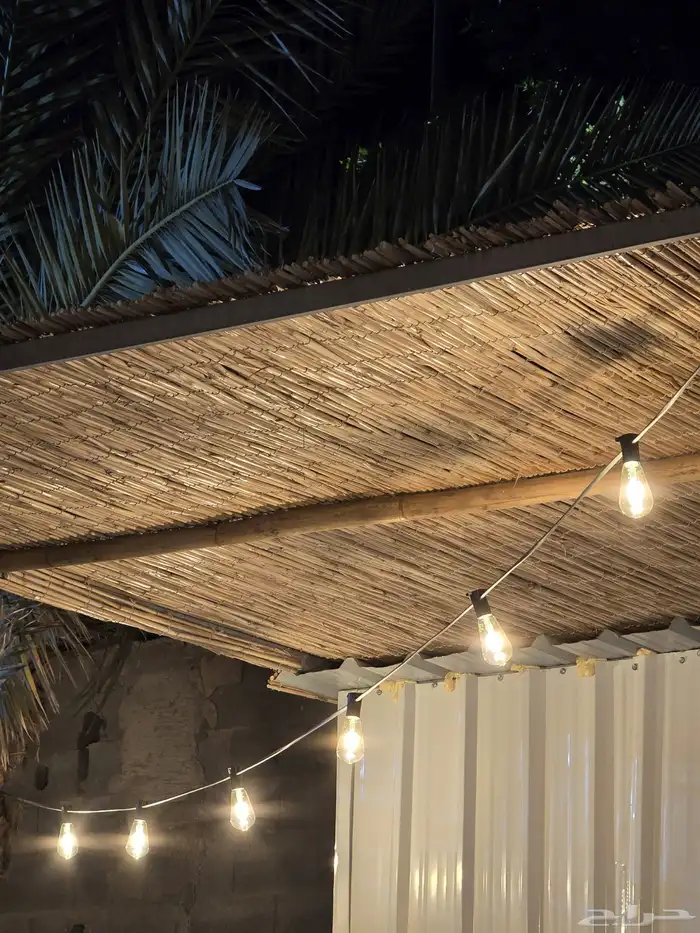 عروض على الخيزران  الموقع بريدة 1