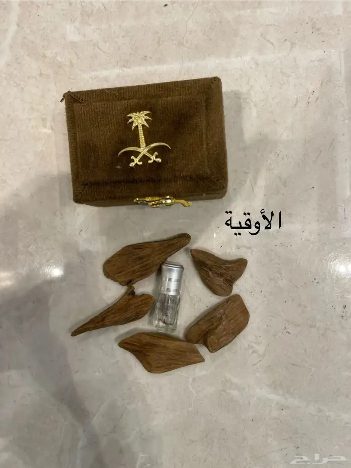 عود المروكي المحسن  VIP 5