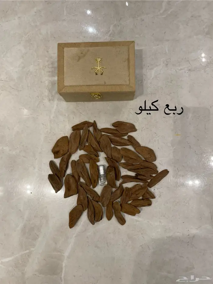 عود المروكي المحسن  VIP 2
