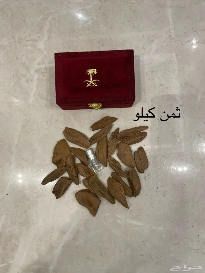 عود المروكي المحسن  VIP 3