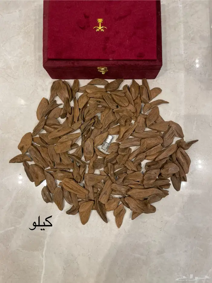 عود المروكي المحسن  VIP 0