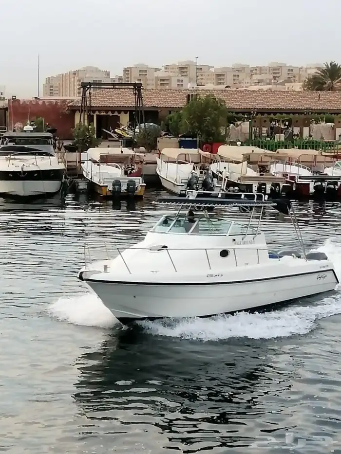 رحلات بحرية على مني يخت جزيره بياضه وصيد من ابحر 5
