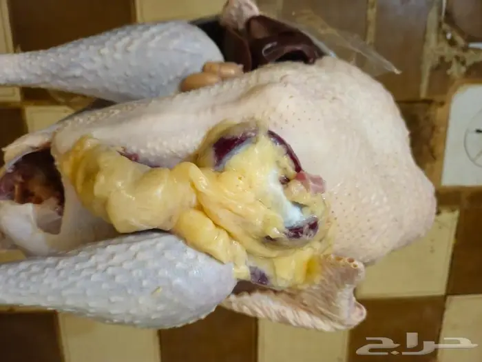 رومي ذبح طازج الذبح بعد تاكيد الطلب 0