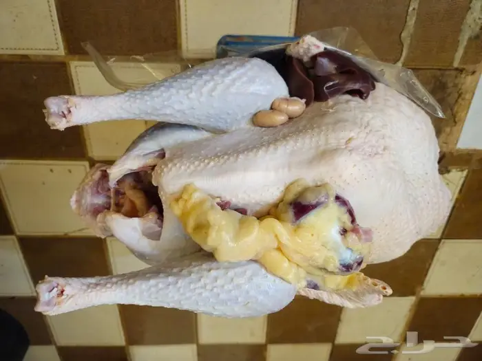 رومي ذبح طازج الذبح بعد تاكيد الطلب 3