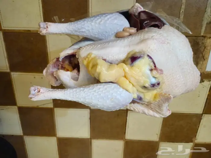 رومي ذبح طازج الذبح بعد تاكيد الطلب 1