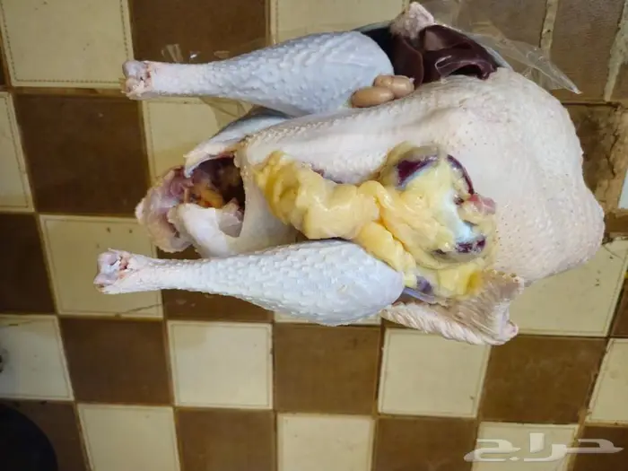 رومي ذبح طازج الذبح بعد تاكيد الطلب 2