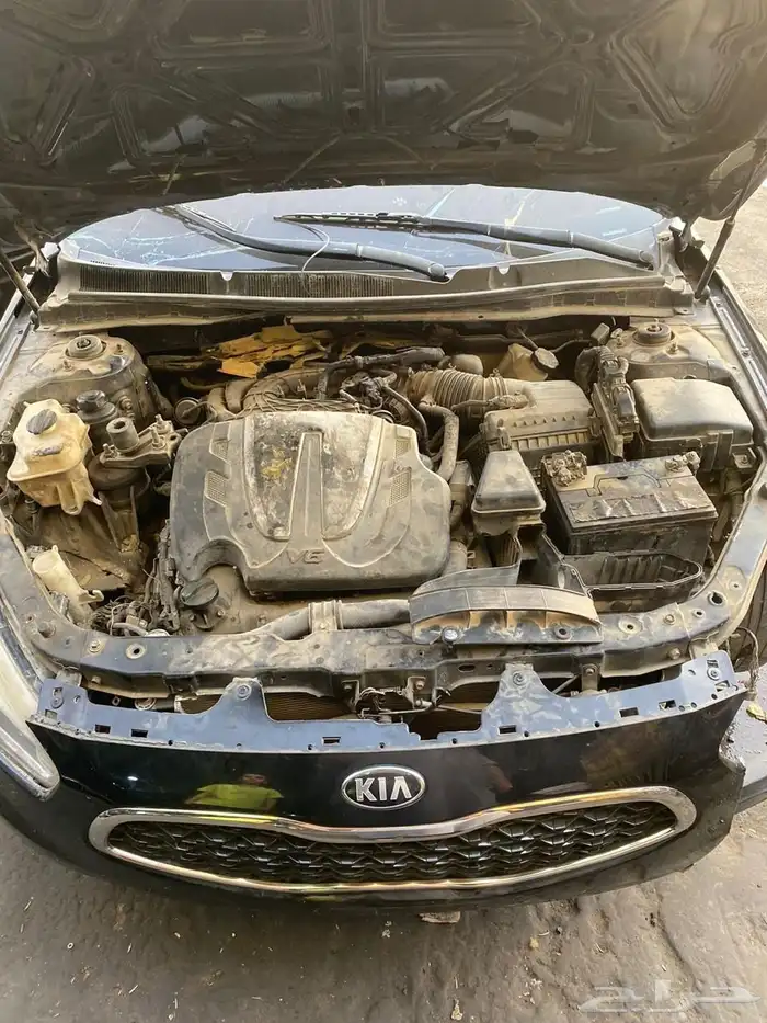 كادينزا 2016 اسود تم البيع 15