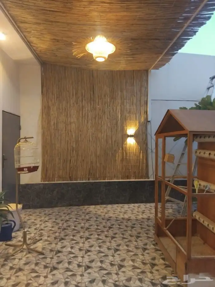 عروض على الخيزران  الموقع بريدة 7