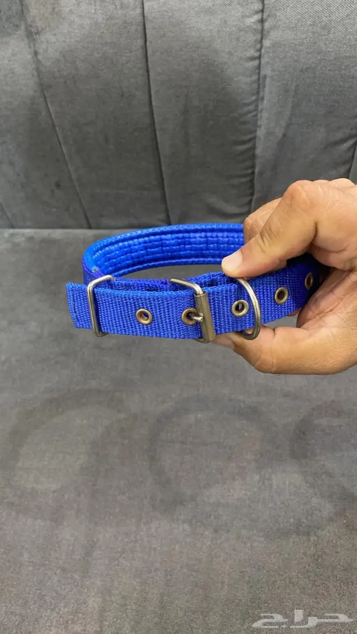 بشرى ساره السبته او الطوق ب 10 ريال فقط 4