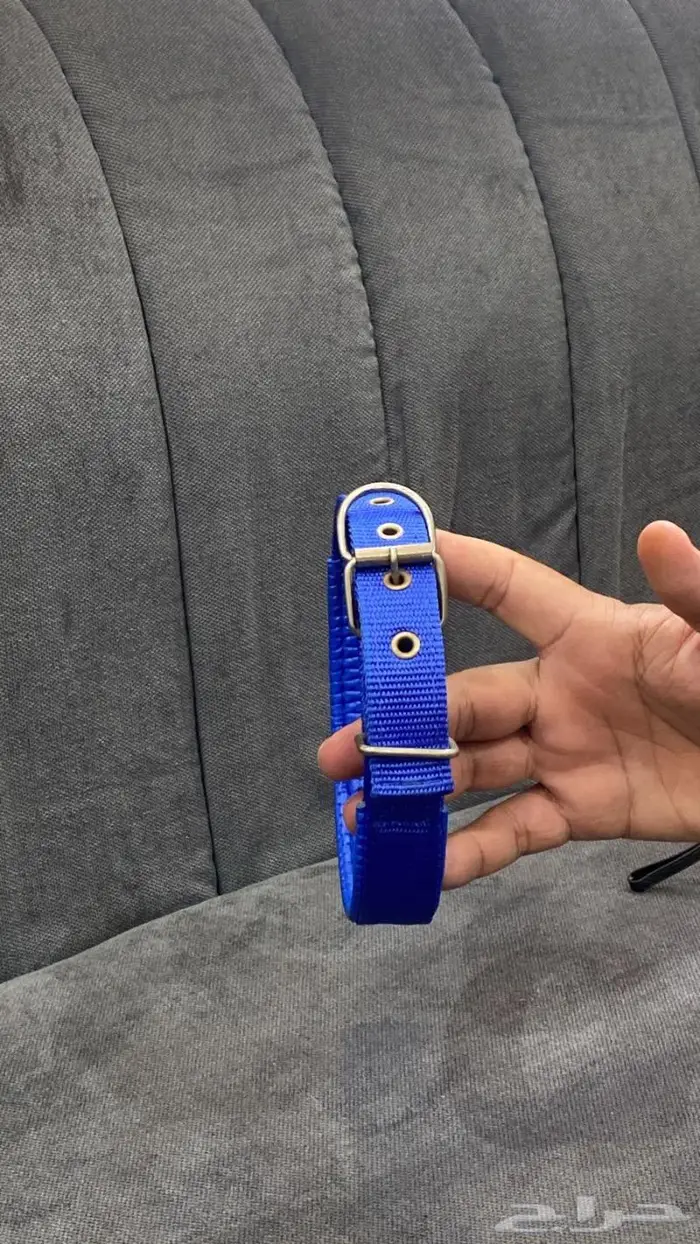 بشرى ساره السبته او الطوق ب 10 ريال فقط 13