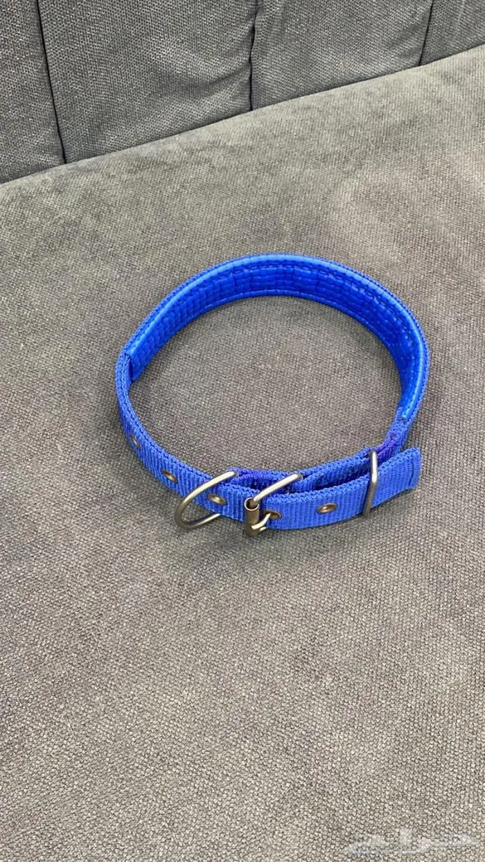 بشرى ساره السبته او الطوق ب 10 ريال فقط 2