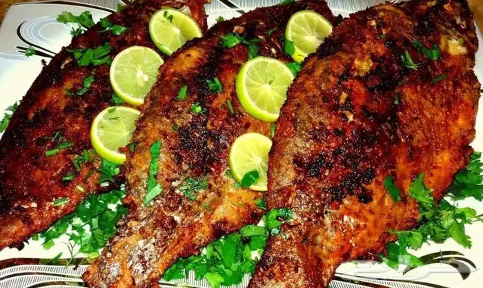سمك بلطي طازج للبيع شامل التوصل 5