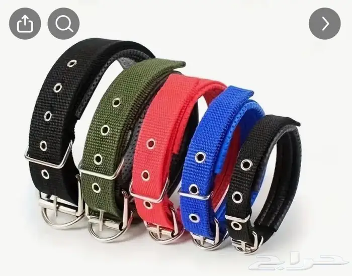 بشرى ساره السبته او الطوق ب 10 ريال فقط 9