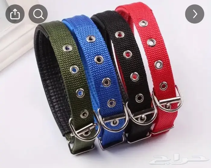 بشرى ساره السبته او الطوق ب 10 ريال فقط 10